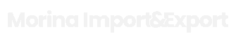 morinaimportexport.com